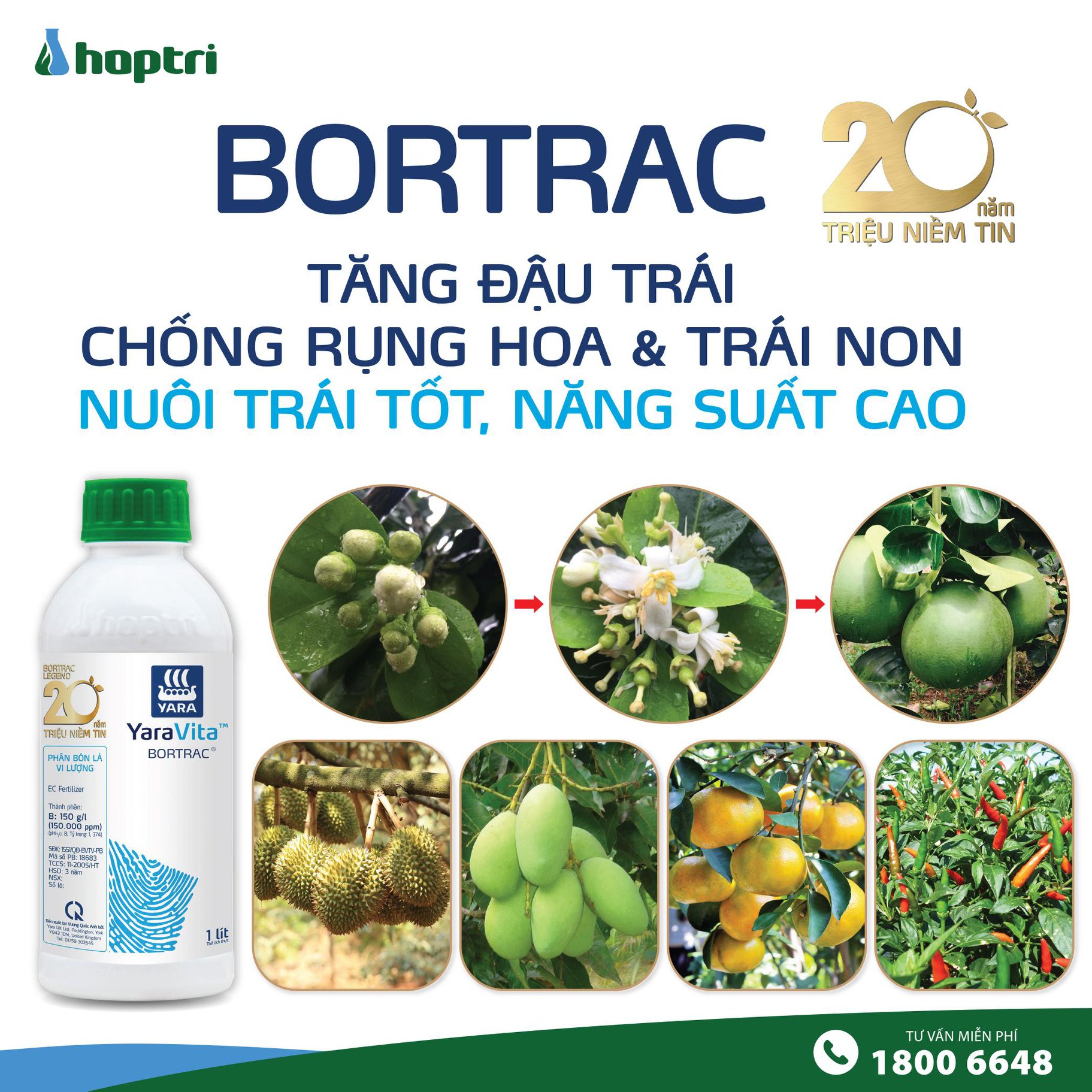 Phân bón lá vi lượng Bortrac - Chai 500ml